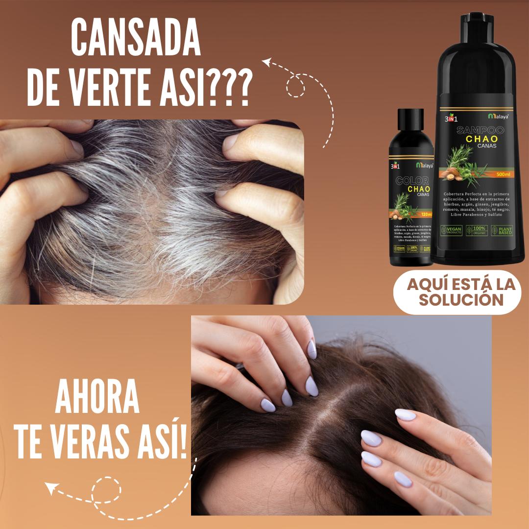 CHAO Shampoo cubre canas + Tratamiento