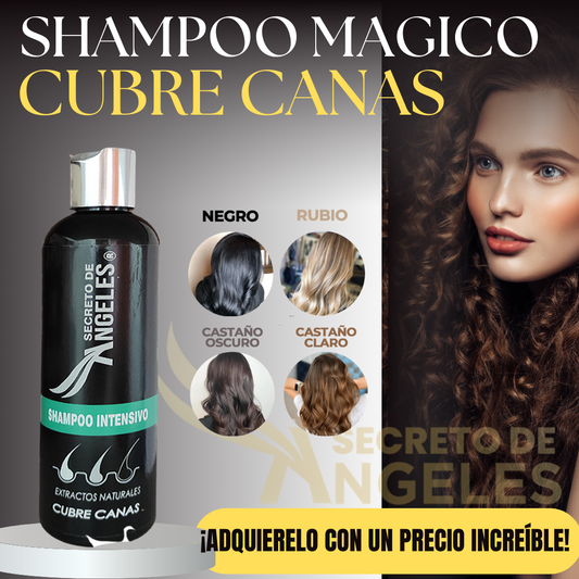 Shampoo Cubre Canas Secreto de Angeles