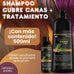 CHAO Shampoo cubre canas + Tratamiento – Essence 4 Home