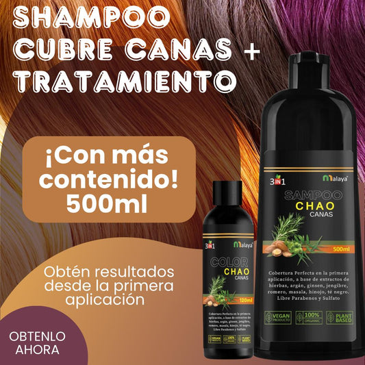 CHAO Shampoo cubre canas + Tratamiento