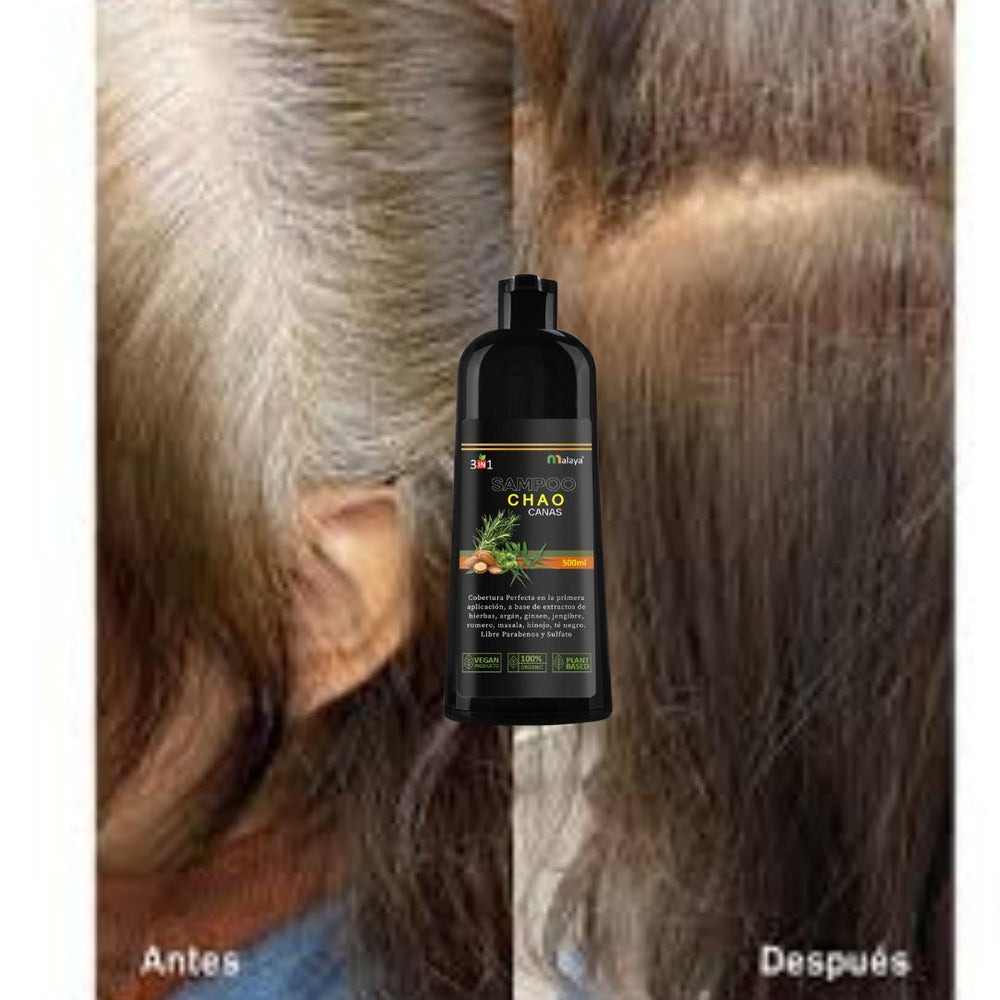 SHAMPOO CHAO CANAS + TRATAMIENTO – Compra Confort